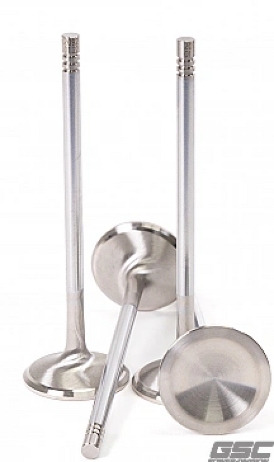 Gsc Power Division 2091-01 GSC Exhaust Valves -STD