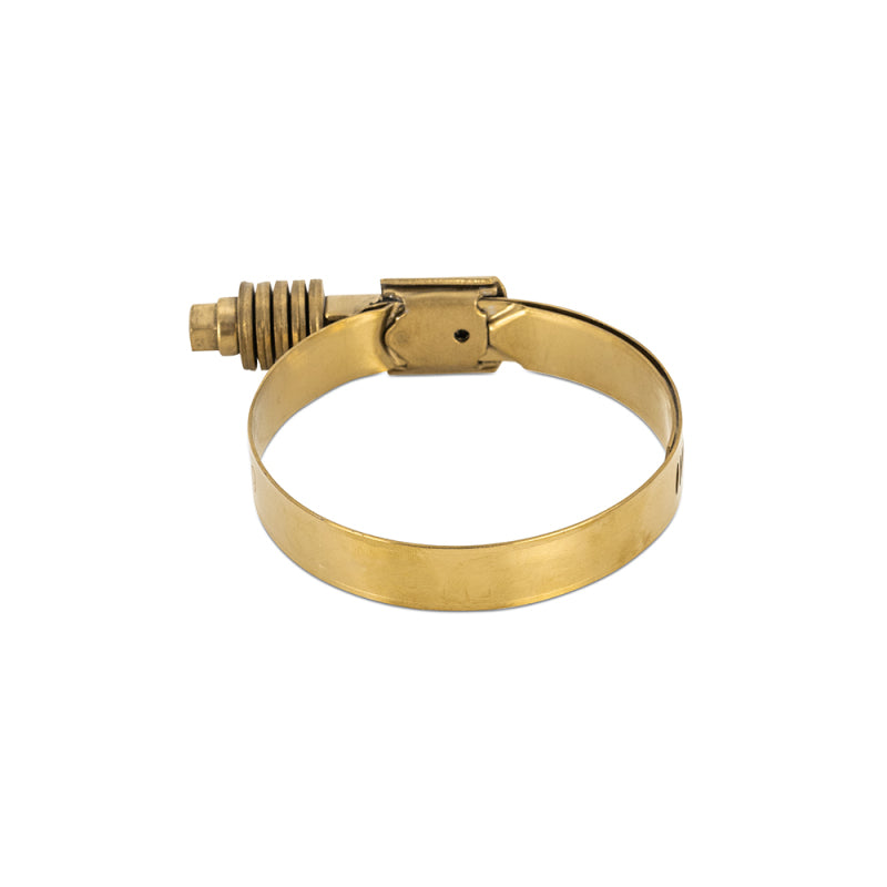 Load image into Gallery viewer, Mishimoto MMCLAMP-CTWG-79GD MM Worm Gear Clamps
