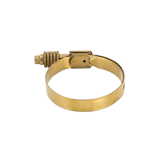 Mishimoto MMCLAMP-CTWG-79GD MM Worm Gear Clamps