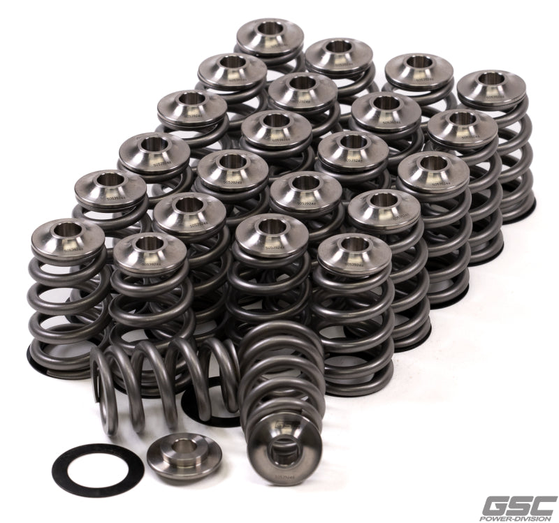 Load image into Gallery viewer, Gsc Power Division 5015 GSC Valve Spring Kits
