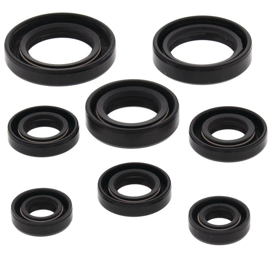 Vertex 822255 Oil Seal Kit
