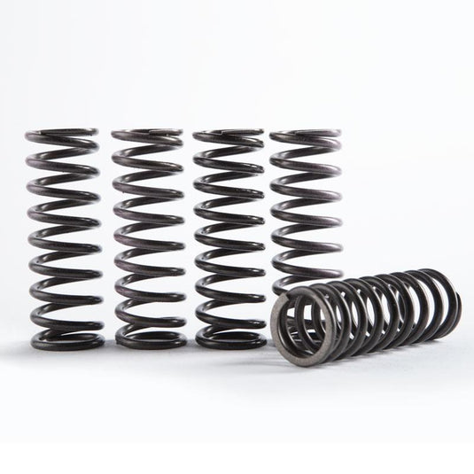 Hinson Racing CS189-6-0613 Hi-Temp Clutch Spring Kit