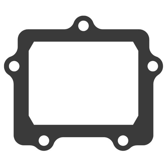 Moto Tassinari G307 Replacement Gasket for Delta 3 Reed Valve