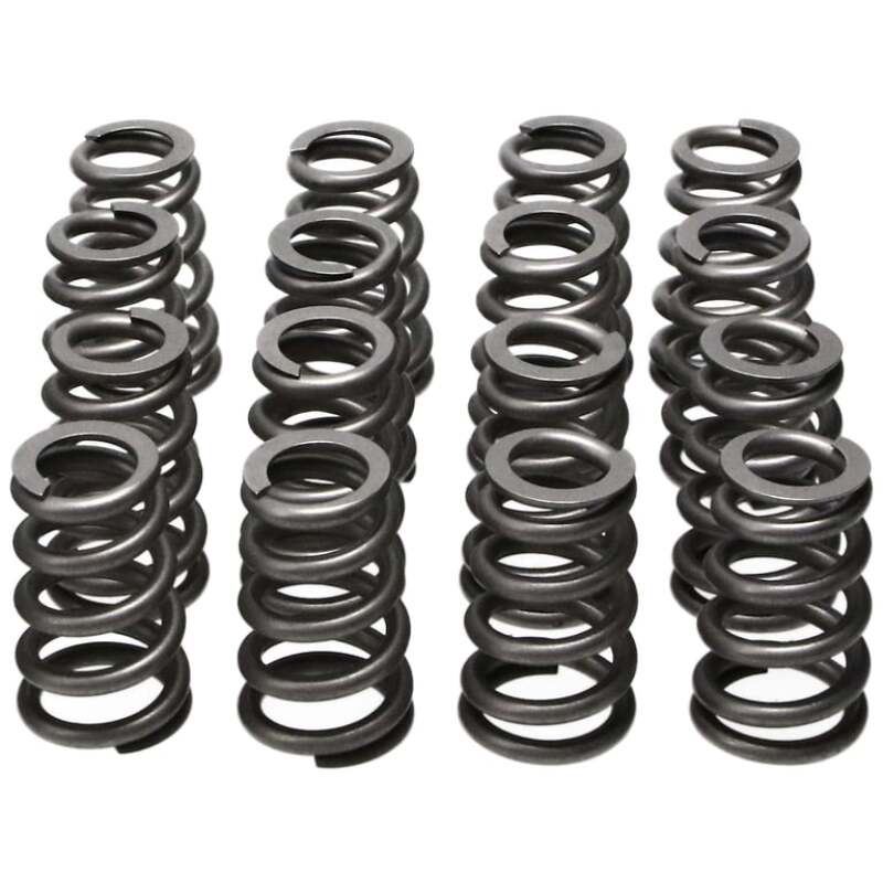 Load image into Gallery viewer, Manley Performance 26185 MAN Valve Spring Kits
