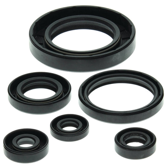 Vertex 822204 Oil Seal Kit