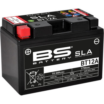 Bs Battery 300679 SLA Factory-Activated AGM Maintenance-Free Battery