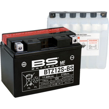Bs Battery 300697 MF AGM Maintenance-Free Battery