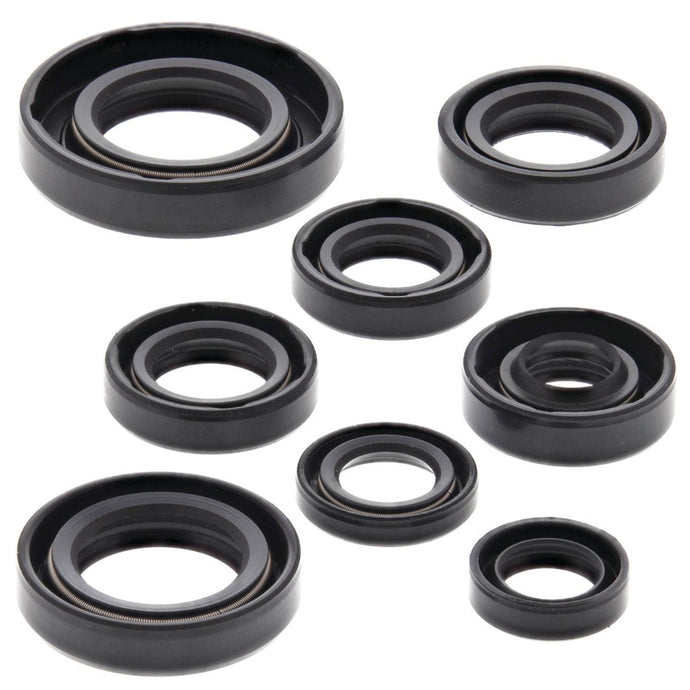 Vertex 822181 Oil Seal Kit
