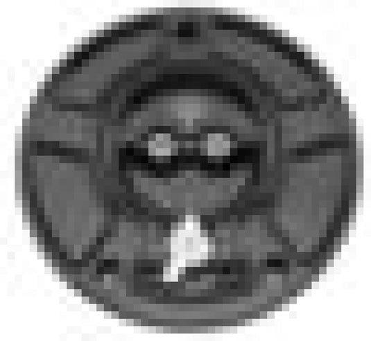 Vortex Racing GC420K VTX Fuel Cap