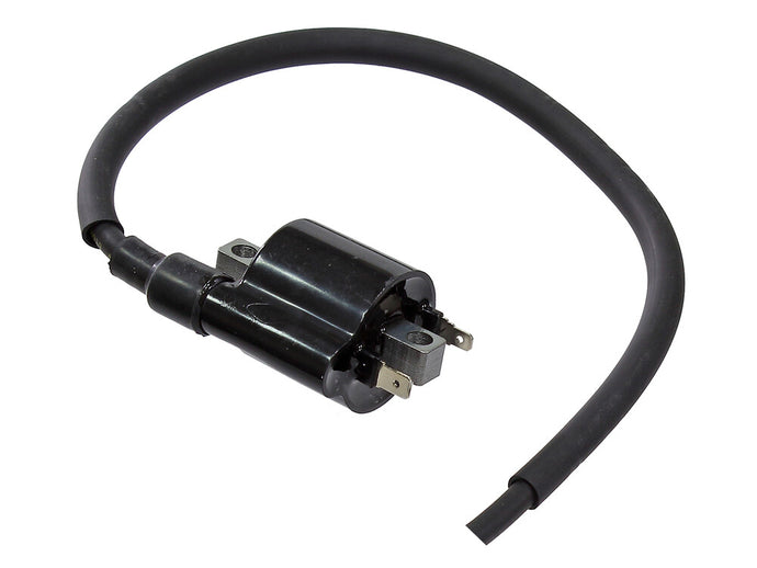 Bronco AT-01698 Ignition Coil