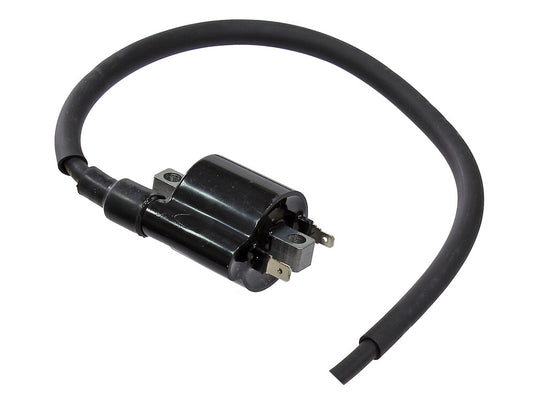 Bronco AT-01698 Ignition Coil