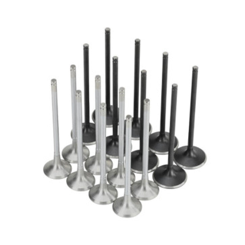 Load image into Gallery viewer, Skunk2 Racing 310-05-2000 SK Alpha Valves

