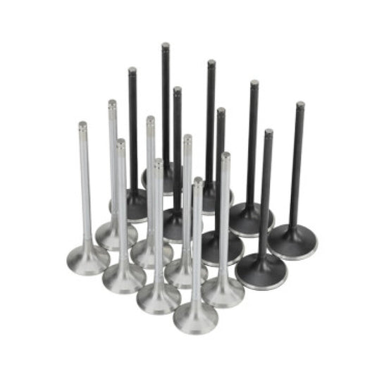 Skunk2 Racing 310-05-2000 SK Alpha Valves