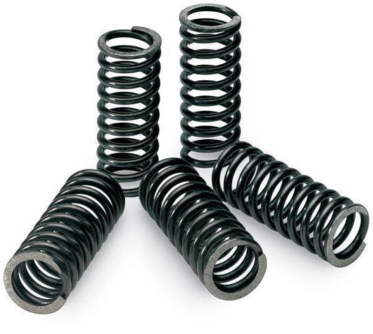 Pro Circuit CSY19250-CS Clutch Springs