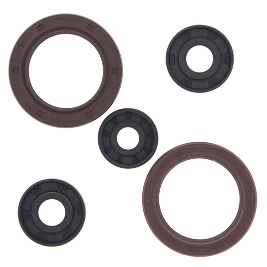 Vertex 822401 Oil Seal Kit