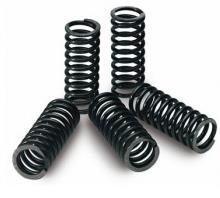 Epi PEBS29 Clutch Spring