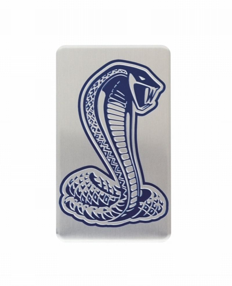 Load image into Gallery viewer, Ford Racing M-1447-D46 FR Badges
