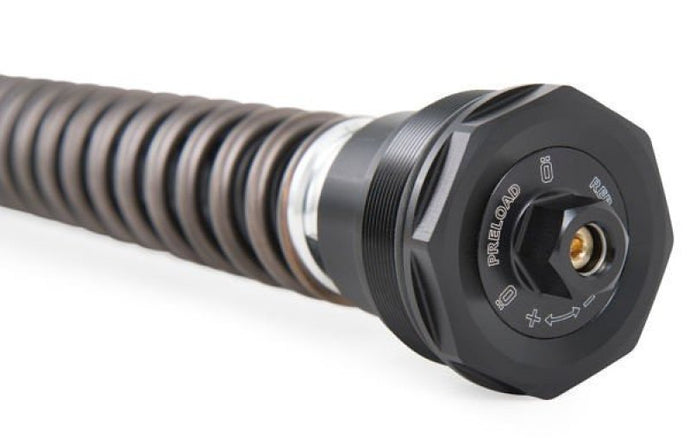 Ohlins FKS 228 OHL NIX 22 Custom & Heritage