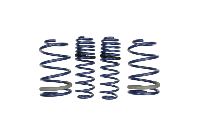 Load image into Gallery viewer, Ford Racing M-5300-PA FR Spring Kits
