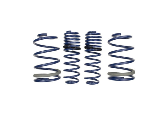 Ford Racing M-5300-PA FR Spring Kits