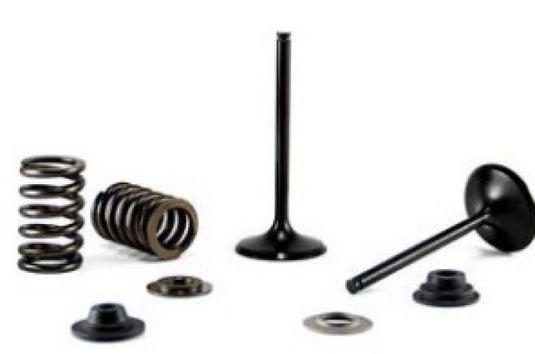 Bronco AU-09227I Intake Valve
