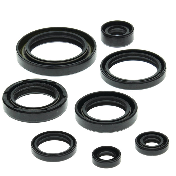 Vertex 822157 Oil Seal Kit