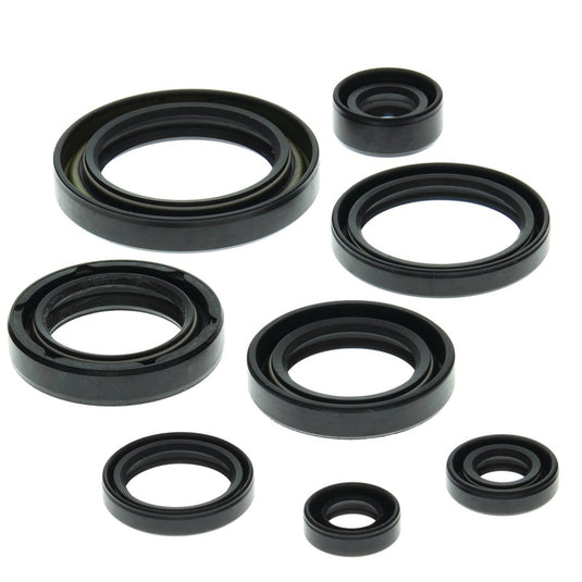 Vertex 822157 Oil Seal Kit