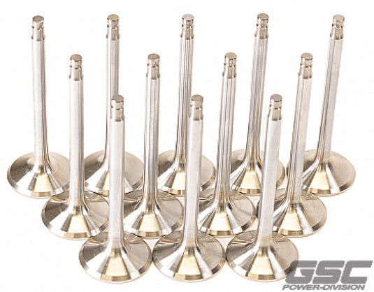 Gsc Power Division 2057-12 GSC Exhaust Valve Sets +1mm