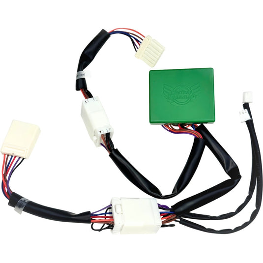 Custom Dynamics CD-STP-XL Smart Triple Play Module