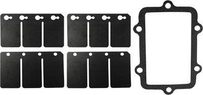 Sp1 SM-07161C Reed Valve Rebuild Kit