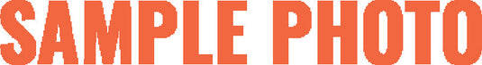 Ast ASTLS-21-168 AST Lowering Springs