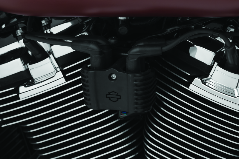 Load image into Gallery viewer, Kuryakyn 6466 KUR Coil Covers
