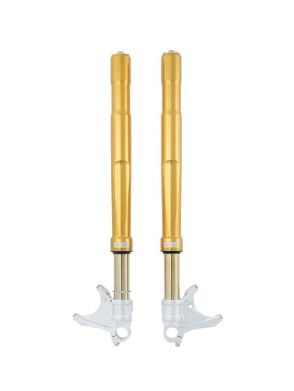 Load image into Gallery viewer, Ohlins FGRT 231 OHL FGRT 200
