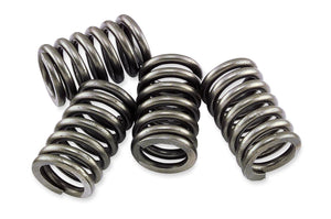 EBC CSK80 CSK Clutch Spring Kit