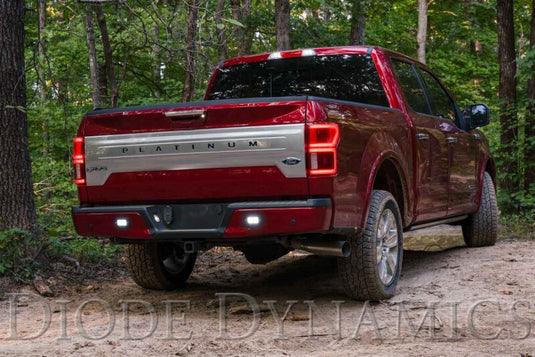 Diode Dynamics DD7149 DIO Backup Light