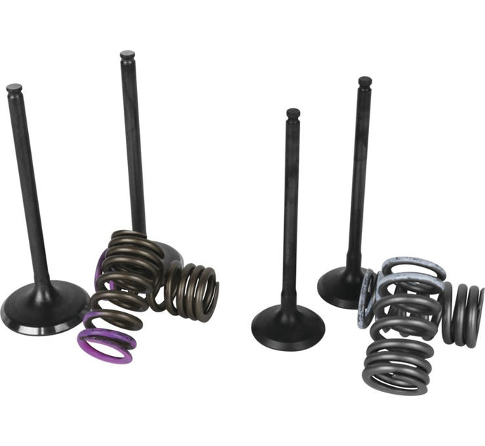 Wiseco SVKB3406 Garage Buddy Valve Set