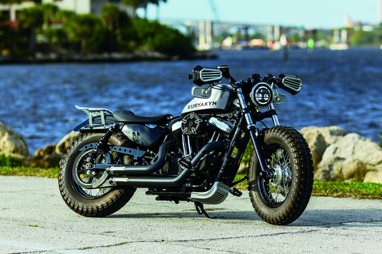 Kuryakyn 6683 KUR Skid Plates