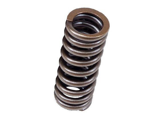 Blox Racing BXPT-20301 BX Valve Springs