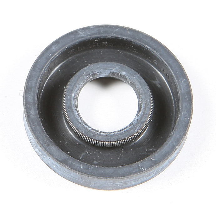 Wps 09-161 Oil Seal