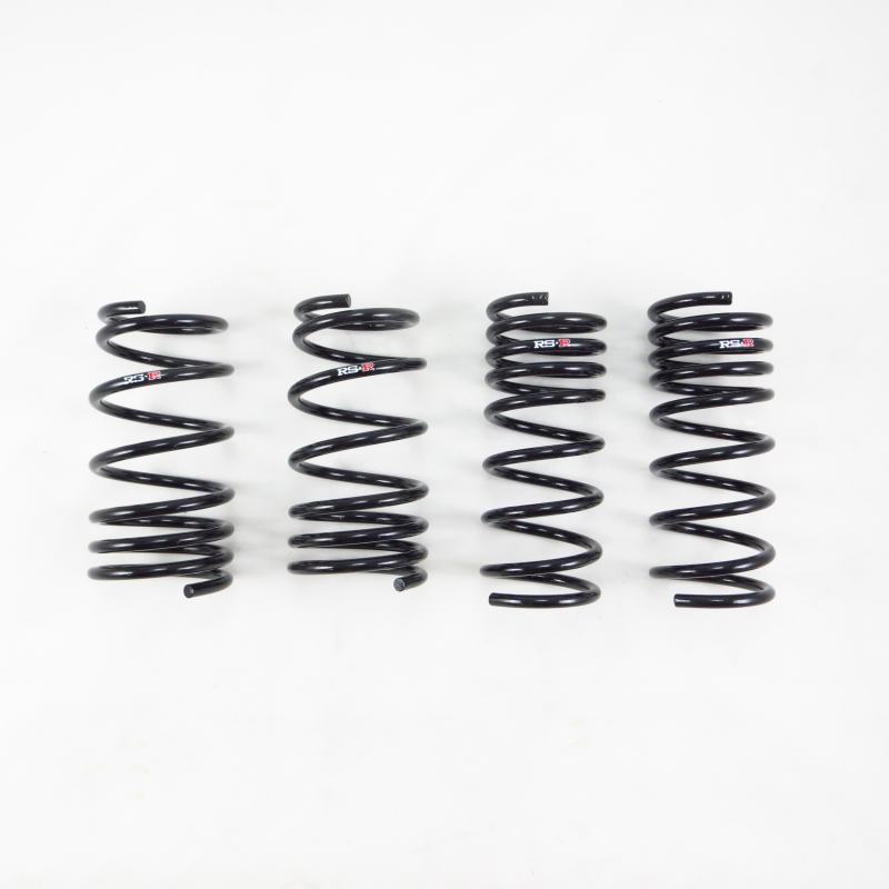 Load image into Gallery viewer, Rs-R T215D RSR Down Sus Springs
