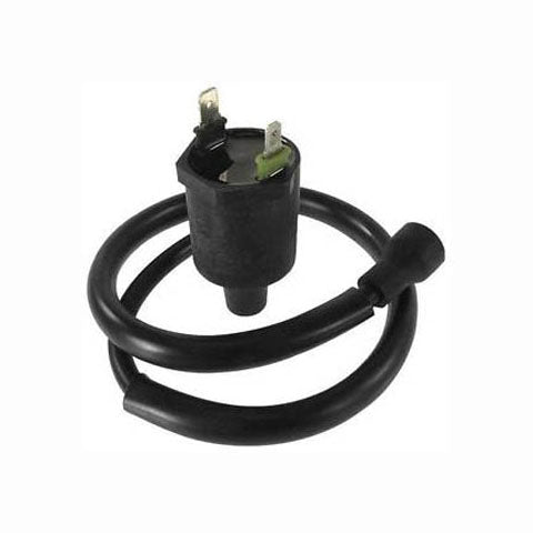 Wild Boar IHA0004 Ignition Coil