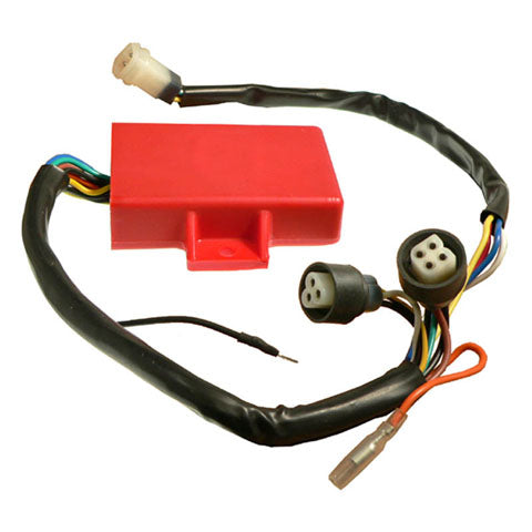 Wild Boar IYA6025 High Performance CDI