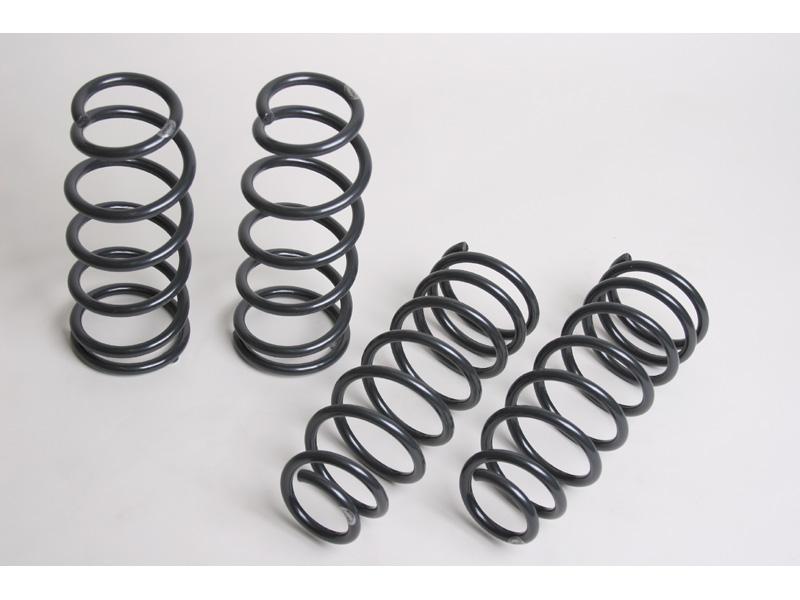 Load image into Gallery viewer, Progress Technology 40.1134 PRG Sport Lowering Springs
