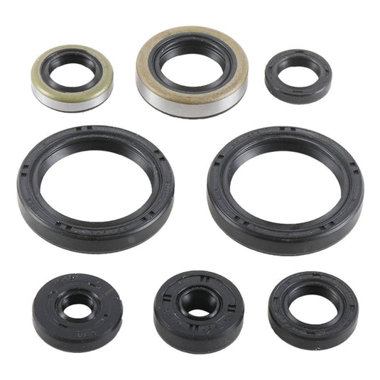 Vertex 822977 Oil Seal Kit
