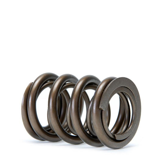 Skunk2 Racing 311-05-1380 SK Tuner Valve Springs