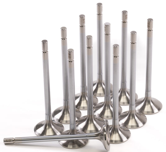 Gsc Power Division 2241-12 GSC Exhaust Valve Sets -STD