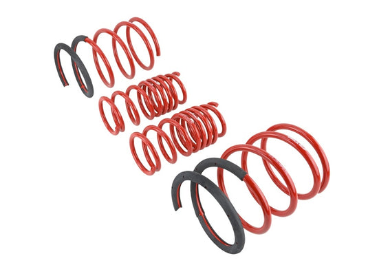 Skunk2 Racing 519-05-1670 SK Lowering Springs