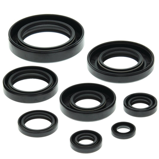Vertex 822147 Oil Seal Kit