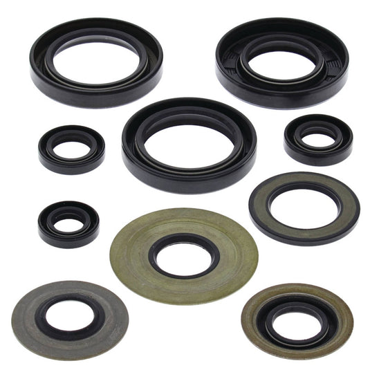 Vertex 822279 Oil Seal Kit