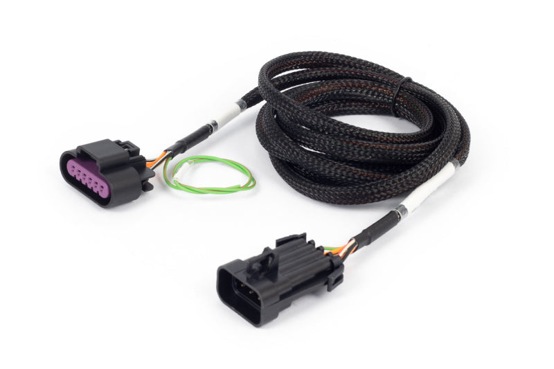 Load image into Gallery viewer, Haltech HT-186507 HAL NEXUS Rebel LS Adaptors
